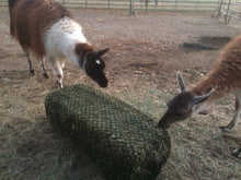 Load image into Gallery viewer, Small Bale Hay Net by Hay Chix