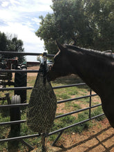 Load image into Gallery viewer, Brown horse eating hay from a hay net