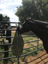 Load image into Gallery viewer, Brown horse eating hay from a hay net
