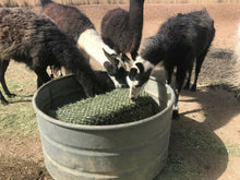 Load image into Gallery viewer, Small Bale Hay Net by Hay Chix