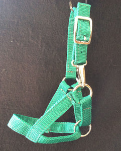 Weanling Halter - Poly