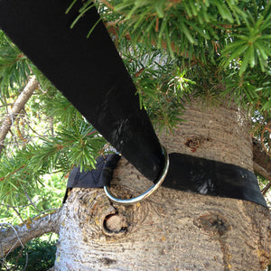 black tree saver around a pine tree