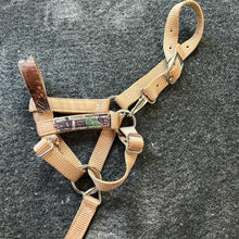 Load image into Gallery viewer, Nylon Halter with Camo Overlay
