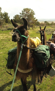 Timberline Llama Pack System