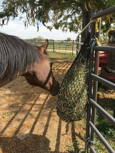 Horse eating hay from a black hay net