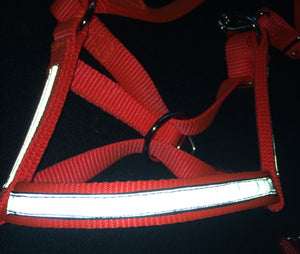 Trail Halter with Reflective Overlay